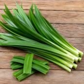 Pandan Leaves