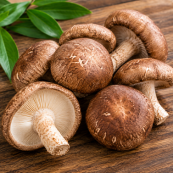 Shimeji Mushroom