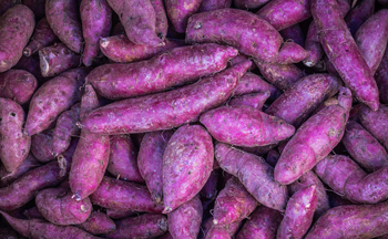 Purple Fleshed Sweet Potatoes